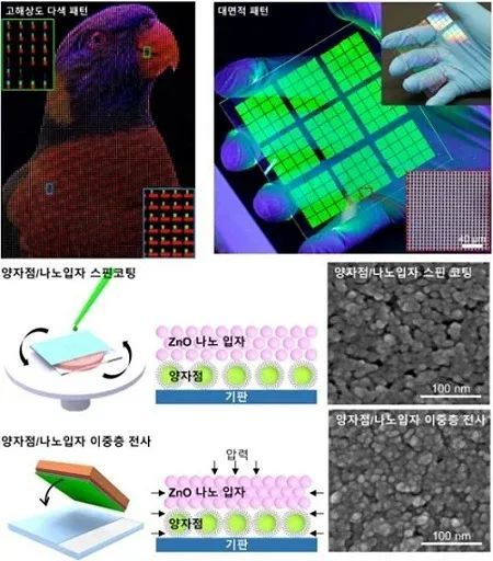 超高清显示器新技术：双层干转印用量子点（QLED）制造高效的LED