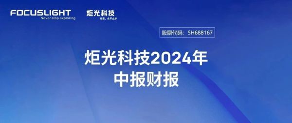 2024年半年度可视化财报